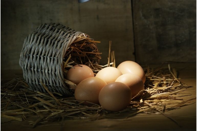 eggs & basket