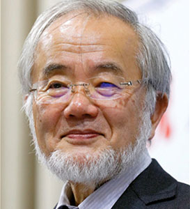 Osumi Yoshinori