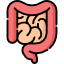 intestine icon